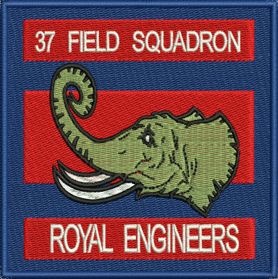 37 FD SQN Embroidered badge