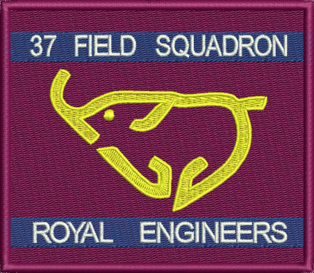 37 FLD SQN (YELLOW) Embroidered Badge
