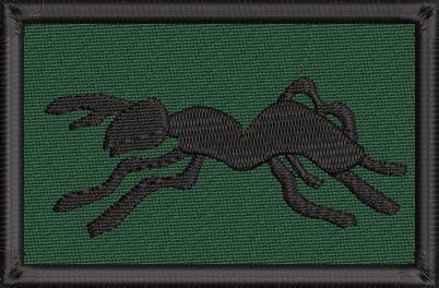51 Sqn Embroidered TRF