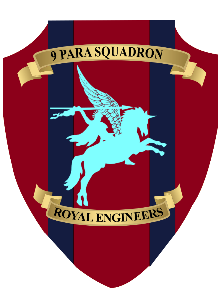9 Para Squadron Plaque