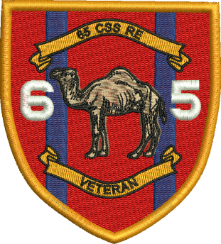 65 CSS RE Embroidered Badge