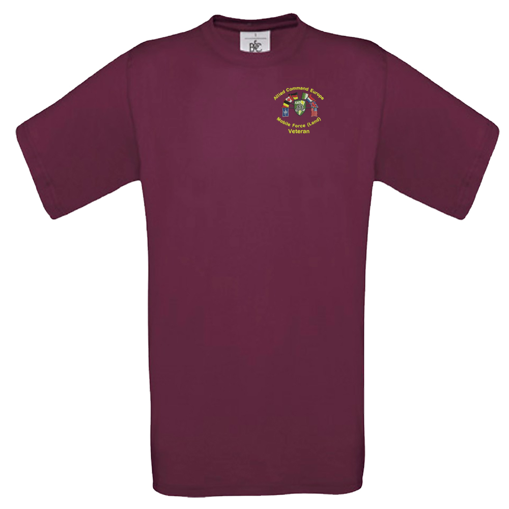 Allied Command  Embroidered T shirt SMALL BURG