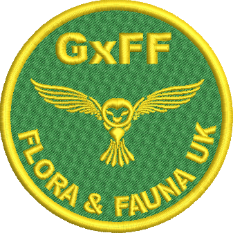 Flora Faun embroidered Polo Shirt (SMALL, BLACK)