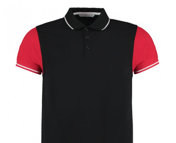 Two Tone Embroidered Polo Shirt